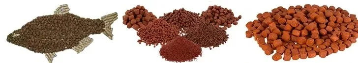 20251016095757 20251016095757