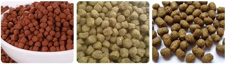 Floating fish Feed Floating fish Feed