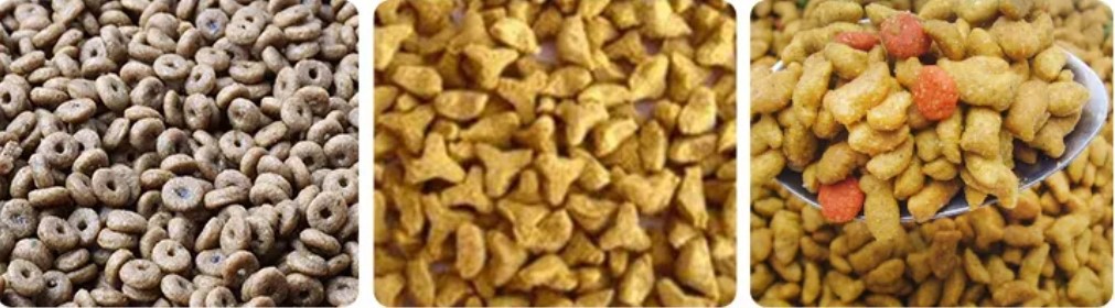 animal sample display animal sample display